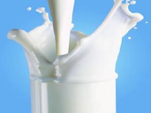 cow milk vs buffalo milk