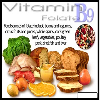 Vitamin B9 - Folate