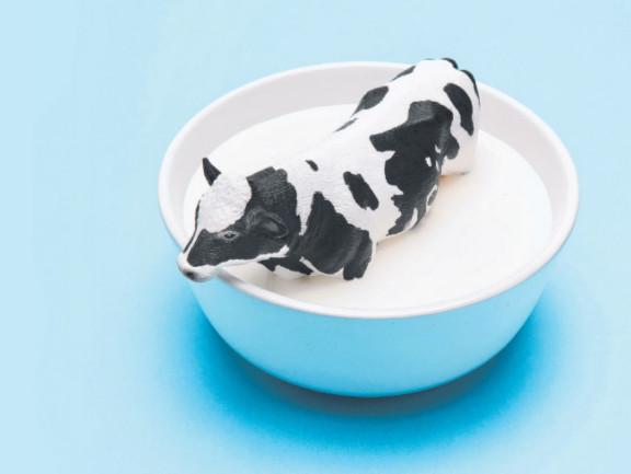Which is better Milk; Cow's milk or buffalo's milk? - Nutritionist 