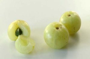 benefits of amla juice