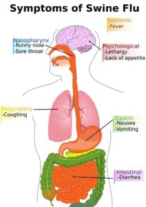 swine-flu-symptoms