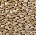 Quinoa benefits