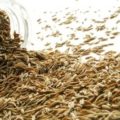 health benefits of cumin seeds