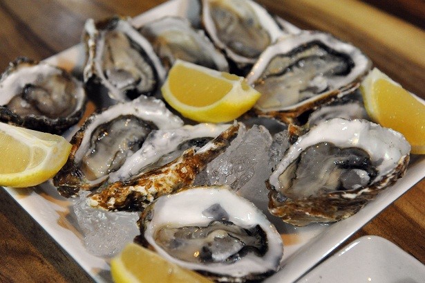 oysters