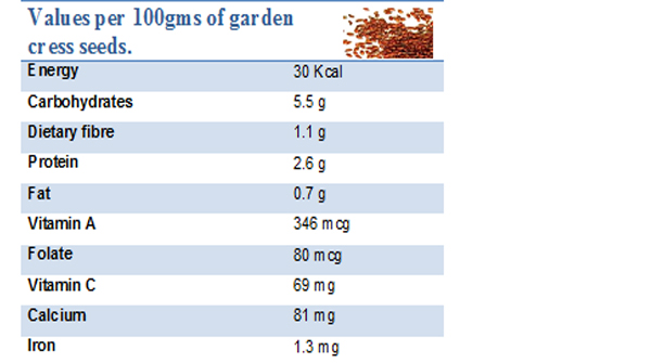Benefits of Gardencress seeds/ Halim/ Aliv - Nutritionist Neha Kava's- Heth  Health Home