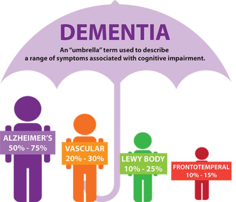 5 Brain Foods to Feed a Loved one with Dementia Nutritionist Neha